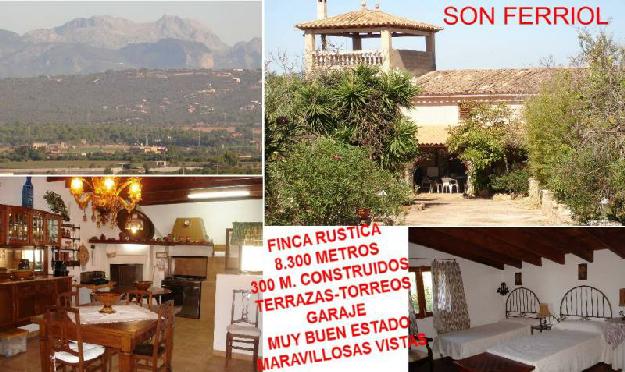 Finca rústica en Sant Jordi