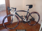 bicicleta carbono goka prodigy 2011 - mejor precio | unprecio.es