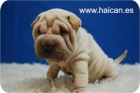 Mini Pei, unico y de mucha mucha calidad. - mejor precio | unprecio.es