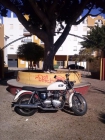 Se vende Triumph Bonneville 2008 - mejor precio | unprecio.es