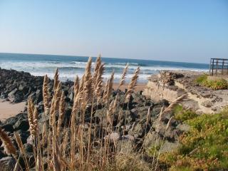 Estudio : 4/4 personas - junto al mar - biarritz  pirineos atlanticos  aquitania  francia