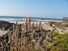 Estudio : 4/4 personas - junto al mar - biarritz pirineos atlanticos aquitania francia - mejor precio | unprecio.es