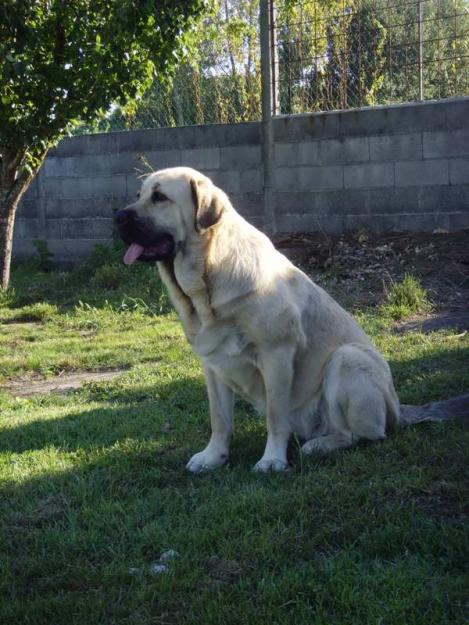 Se vende: