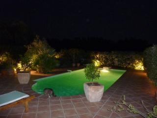 Villa : 4/4 personas - piscina - avinon  francia