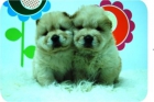 Camada de Chow Chow. - mejor precio | unprecio.es