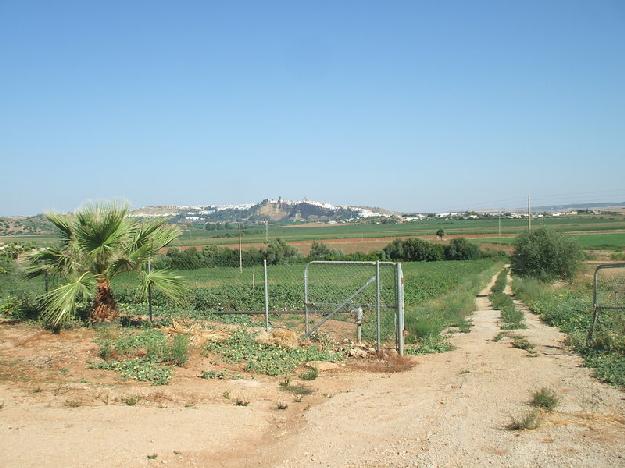 Finca rústica en Arcos de la Frontera