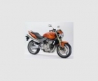 HONDA CB 600 F HORNET - mejor precio | unprecio.es