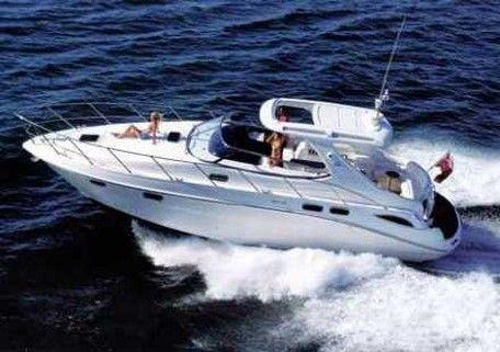 Sealine S 41