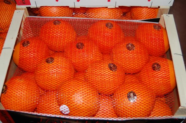 naranjas  citricos  y fruta de hueso