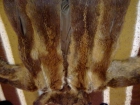 Abrigo de piel de zorro rojo autraliano - mejor precio | unprecio.es