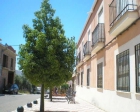 Piso en Córdoba - mejor precio | unprecio.es