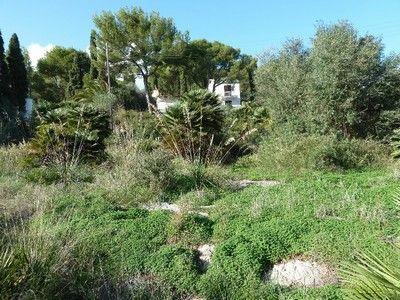 Solar/Parcela en venta en Font de Sa Cala/Font de La Cala, Mallorca (Balearic Islands)