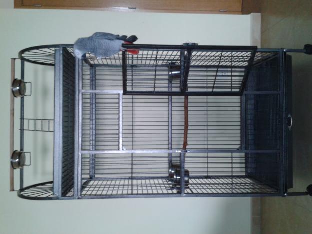 Vendo Jaula Loro