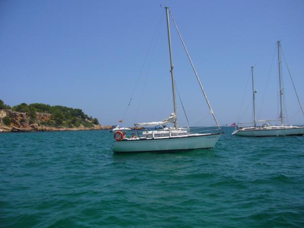 Dufour 29. Velero en venta