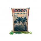 Canna Coco - mejor precio | unprecio.es