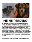 perrita perdida - mejor precio | unprecio.es