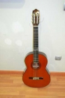 Vendo guitarra Alhambra modelo 3c. - mejor precio | unprecio.es