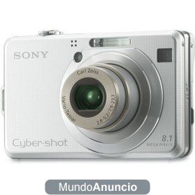 Sony Cybershot DSCW100 8.1MP Digital Camera with 3