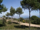 Terreno/Finca Rstica en venta en Begur, Girona (Costa Brava) - mejor precio | unprecio.es