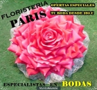 Floristeria Paris - mejor precio | unprecio.es