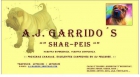 Selectos Cachorros Shar-peis - mejor precio | unprecio.es