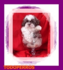 SHIH TZU a 390E - mejor precio | unprecio.es