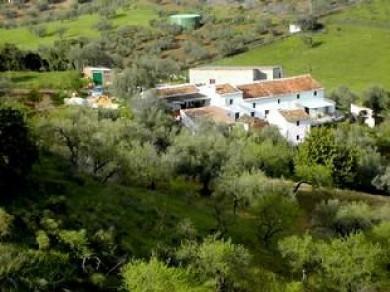 Chalet con 4 dormitorios se vende en Riogordo, Axarquia