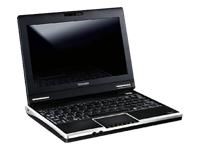 Toshiba NB100 Netbook Nuevo