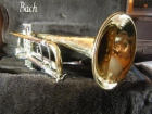 magnifica Trompeta Bach Stradivarius Model 406739 campana de 12 cmts - mejor precio | unprecio.es
