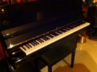 Piano vendo seminuevo oferta - mejor precio | unprecio.es