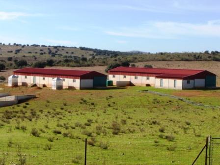 Finca de 29 hect ideal por precio