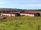 Finca de 29 hect ideal por precio - mejor precio | unprecio.es