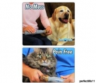 pedi paws el mejor invento para tu mascota... - mejor precio | unprecio.es