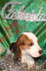 Preciosos  beagle,my economicos - mejor precio | unprecio.es