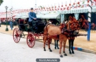 ALQUILER COCHE DE CABALLOS-FAETON PARA FERIA SEVILLA - mejor precio | unprecio.es