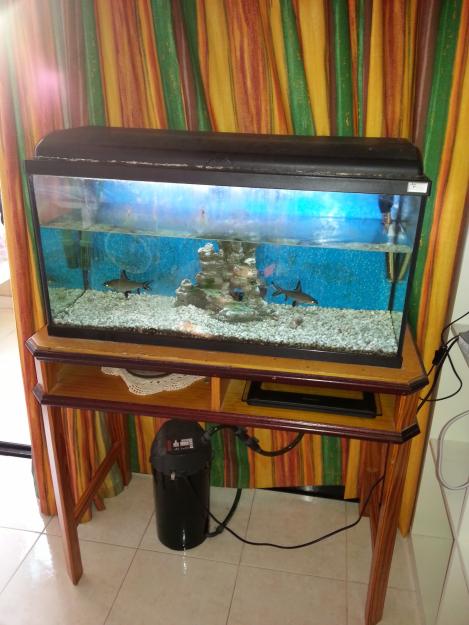 Acuario de 90 litros con filtro completo maraca EHEIM mas adornos, peces, gravilla.