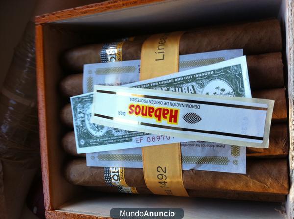 cohiba behke