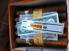 cohiba behke - mejor precio | unprecio.es