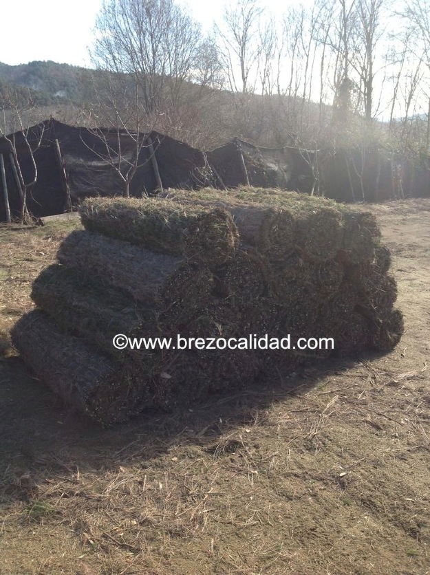 Compra de vallas para jardín de brezo natural y de seto artificial.