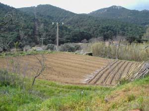 Finca rústica en Sant Feliu de Guíxols