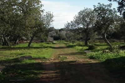 Finca rústica en Campos