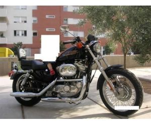 HARLEY DAVIDSON SPORSTER 883