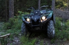 Yamaha Grizzly 2009 - mejor precio | unprecio.es