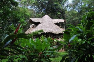 Bungalow : 4/6 personas - limon  limon  costa rica