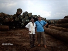 madera tropical - mejor precio | unprecio.es