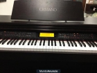 PIANO CASIO STEREO SAMPLING AL-100R DUAL COLOR KEY LIGHTING SISTEM - mejor precio | unprecio.es