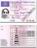 TE CONSIGO EL CARNET CONDUCIR