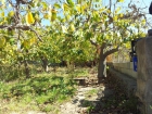 Casa de Campo con terreno y árboles frutales - mejor precio | unprecio.es