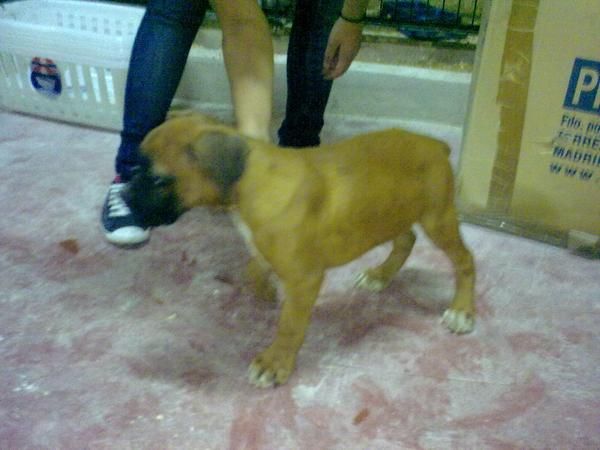 no busques mas, te lo enviamos a tu domicilio,maximas garantias,boxer