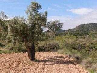 Finca/Casa Rural en venta en Maella, Zaragoza